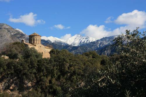 The Olive Grove Boutique Villas