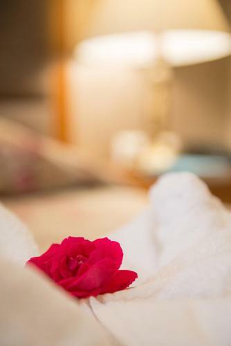 Hotel Aethria