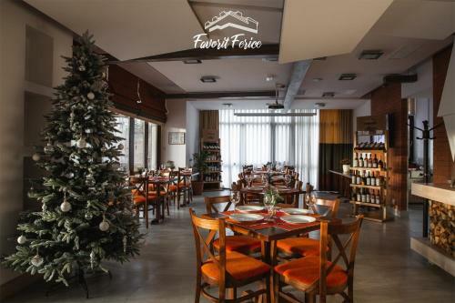 Hotel Pensiunea Favorit Ferice