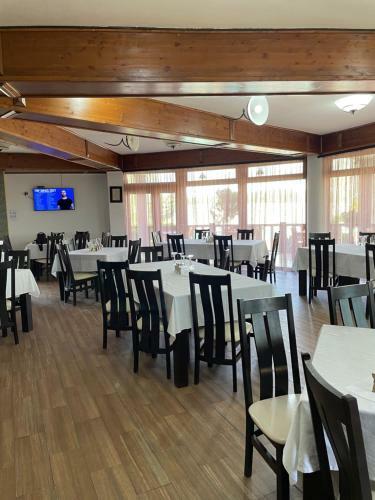 Hostal Pensiunea Beluga