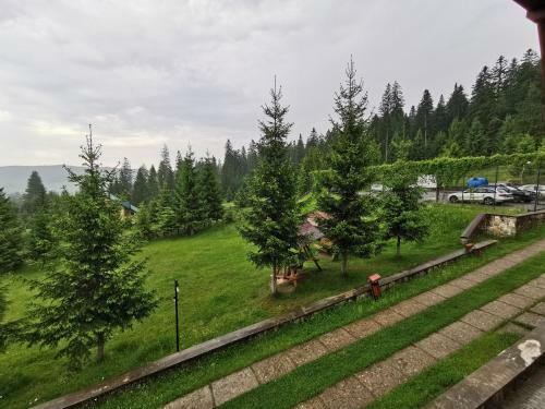 Hotel Floare De Colt