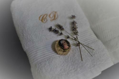 Hotel La Curtea Domneasca