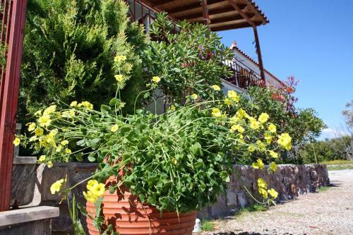 Apartamento Paradisos Studios