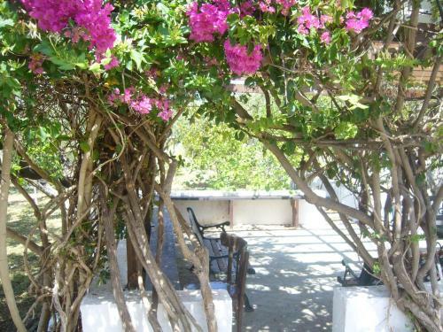 Apartamento Eleftheria Studios