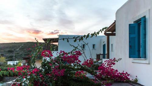 Villa Andros Maisonettes