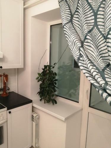 Apartamento ????????