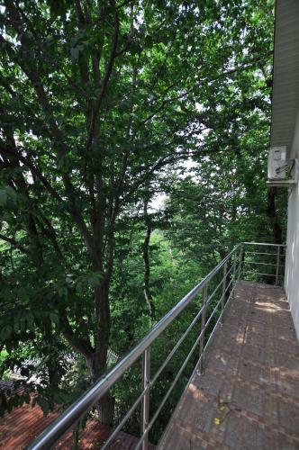 Hostal Town Park