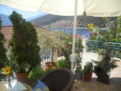 Apartamento Olive Bay Hotel