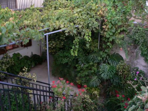 Apartamentos Evangelia