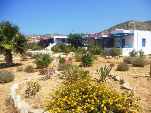 Apartamento Firoa Studios
