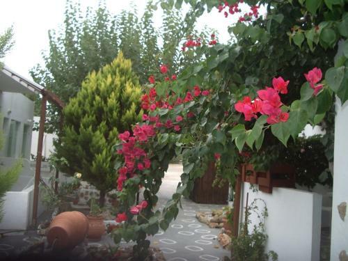 Hostal Skyros Panorama Studios