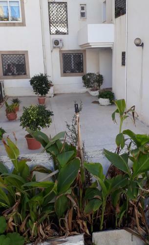 Apartamento Joli Studio