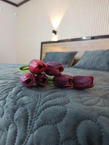 S�vari Hotel