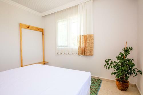 Hotel Yucca House G�kova