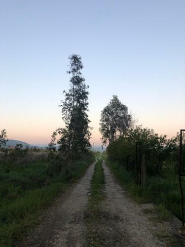Hotel Yucca House G�kova