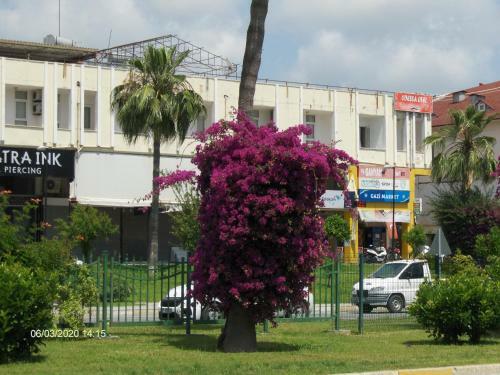 Bed & Breakfast Odessa Otel Avsallar