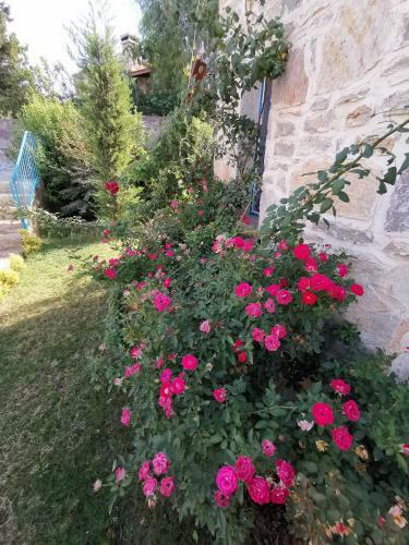 Bed & Breakfast La Petra Eski Datca