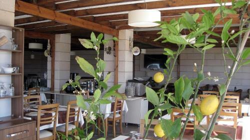 Kuzey Park Hotel