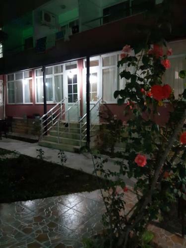 Selina Hotel