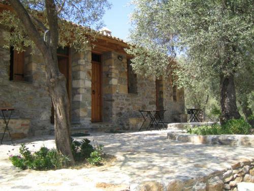Hostal Gera's Olive Grove (elaionas Tis Geras)