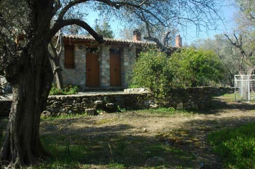 Hostal Gera's Olive Grove (elaionas Tis Geras)