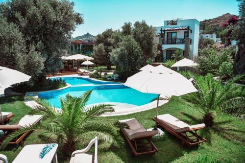Amore Boutique Hotel