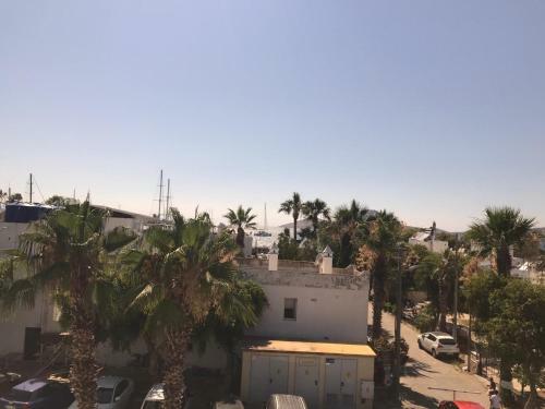 Hotel Sea Palm Otel Yal?kavak