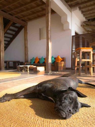 Hotel Hekaya Zanzibar