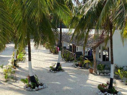 Maisha Matamu Beach Hotel Paje