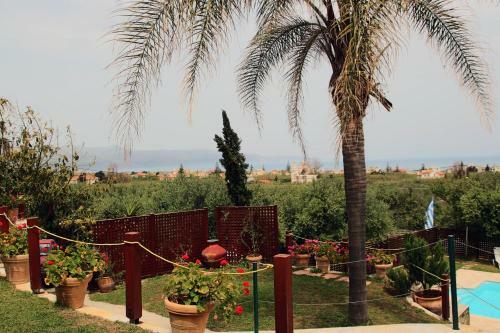Villa Palma