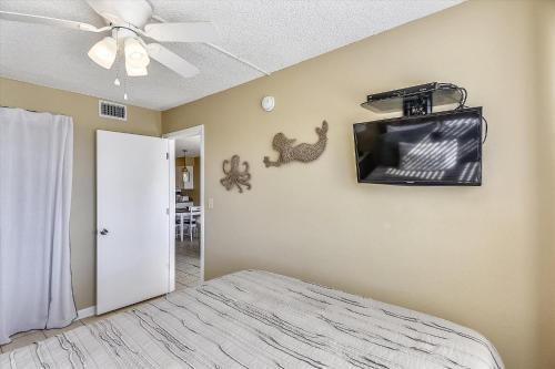 Island Shores 151