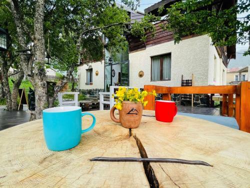 Hostal Ioska's House
