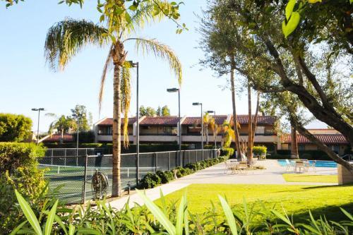 Midtown Mountain View Villa