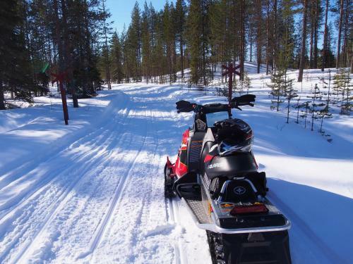 Apartamento Santas Secret Log House - Sallan Savu