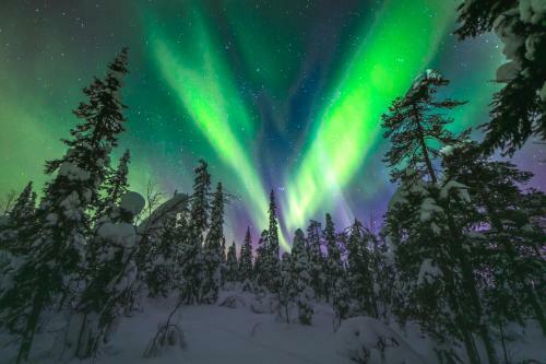 Isokelo Log Apartments