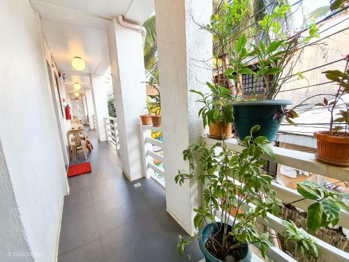 Hostal 8 Colors Beach House Resort