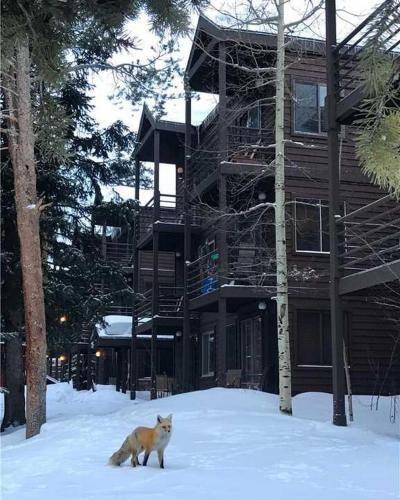Wildwood Suites 101 (Condo)