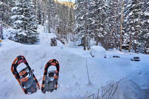 Cozy Idaho Springs Cottage With Mill Creek Views!