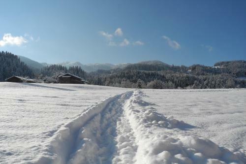 Apartamentos Haus Schatzbergblick