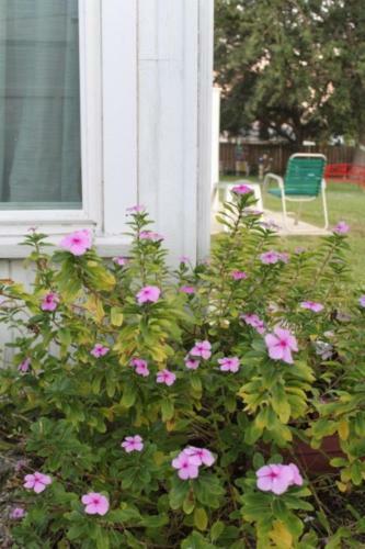 Jane's Bonita Beach Vacation Home