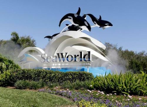 3 Bedroom 3 Bath Condo Close To The Attractions
