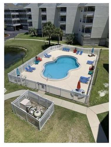 Pirates Cove By Gulf Life