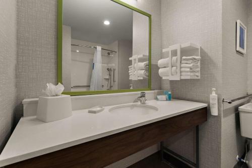 Hotel Hampton Inn & Suites Ruskin I-75, Fl