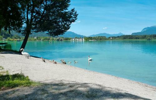Hostal Pension Stissen Haus Am See