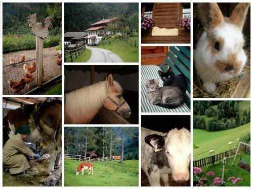Agroturismo Biobauernhof Windbachgut
