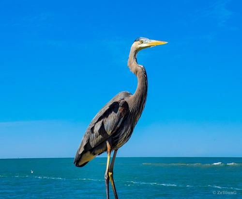 Apartamento Affordable Beach Condos -two Bed Condo With Full Kitchen Condo