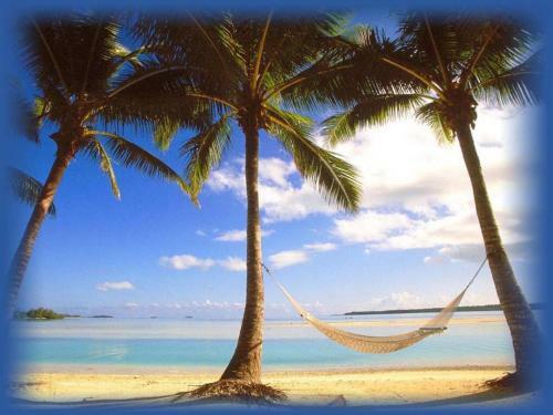 Apartamento Affordable Beach Condos - One Bed Budget With Full Kitchen Condo