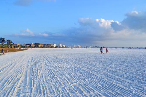 Sarasota Portland 5298