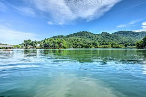 Luxury Lakefront Hiawassee Cottage With Boat Dock!
