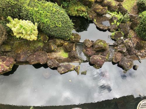 Apartamento Downtown Hilo Condo Walk To Beaches